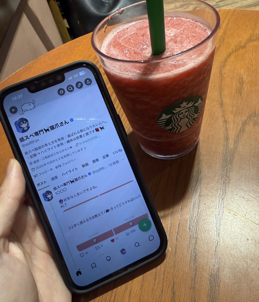 低スペ専門🐈‍⬛猫爪さん tweet media