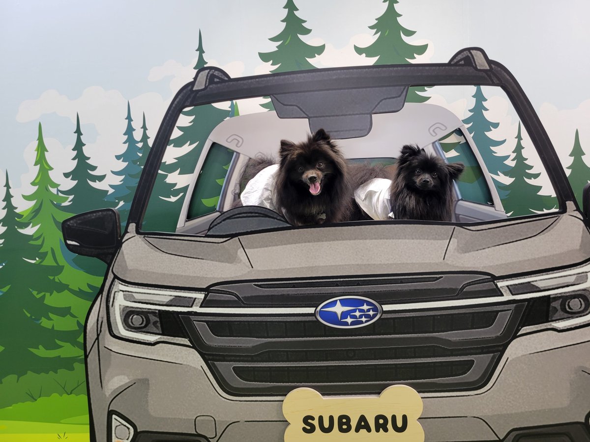 黒ぽめのエルとライ tweet media