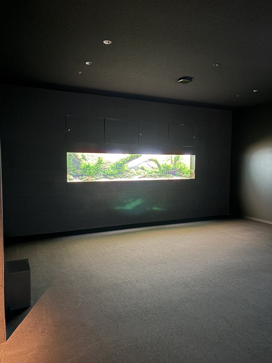 Back2Fishing tweet media