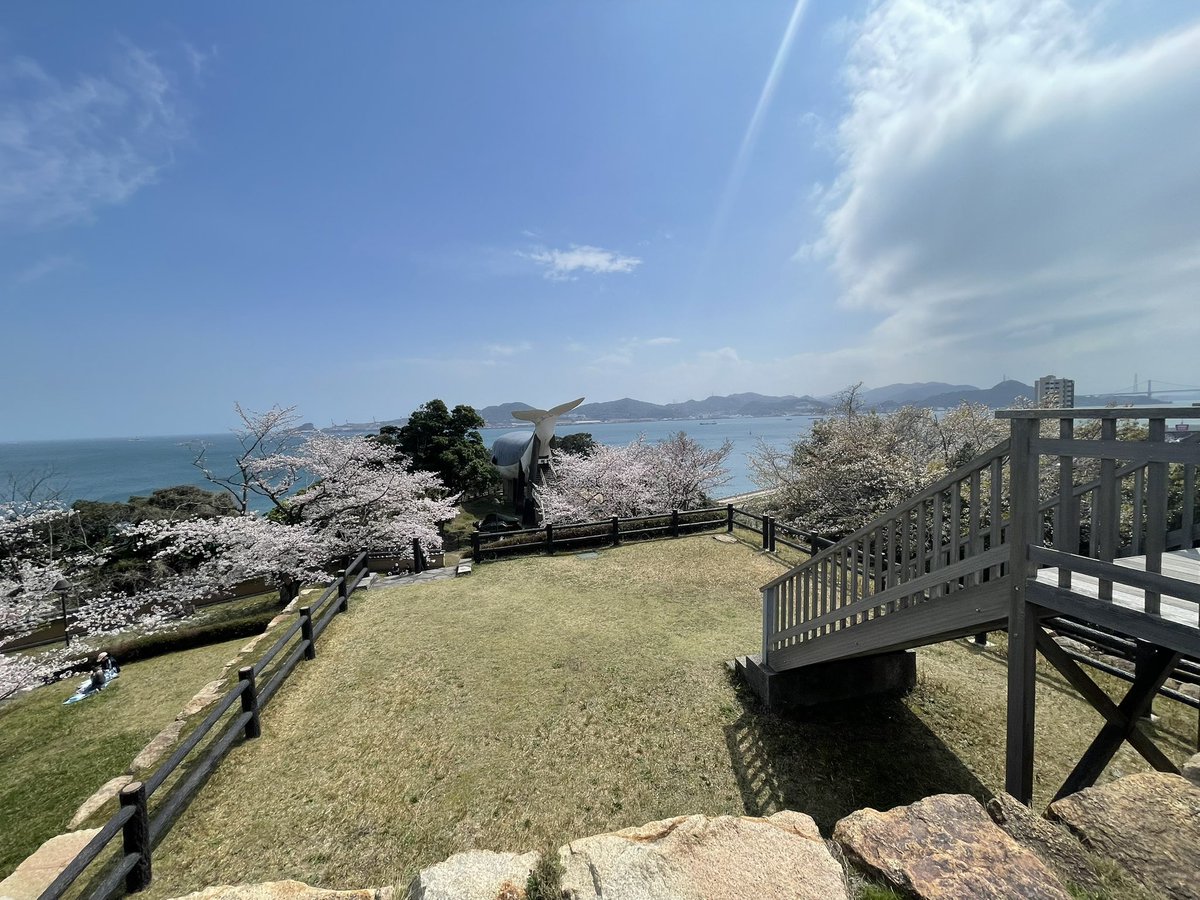 肉欲 肉欲企画 tweet media