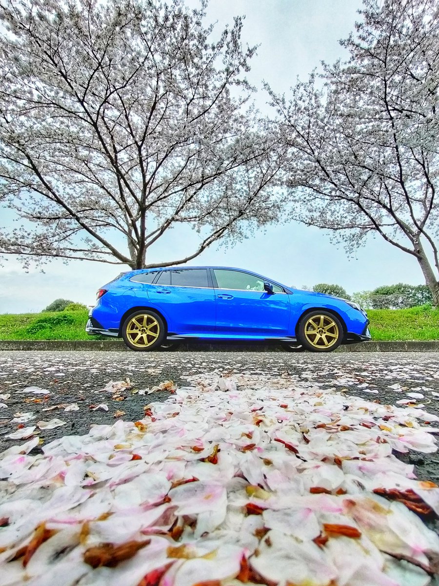 かっちゃん tweet media