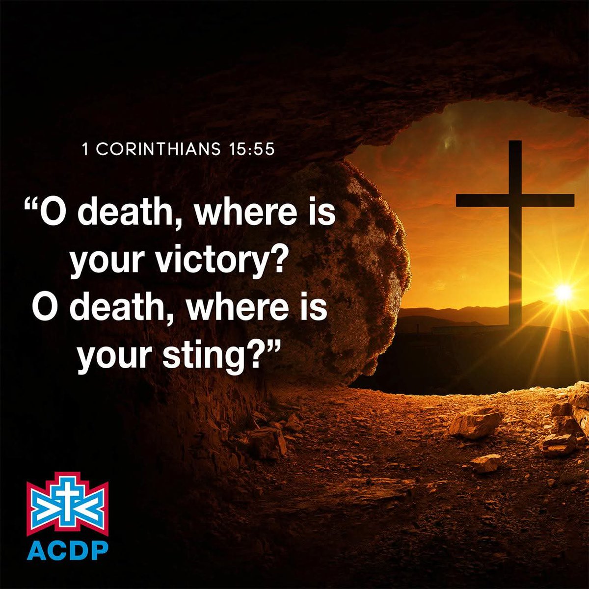 ACDP South Africa tweet media
