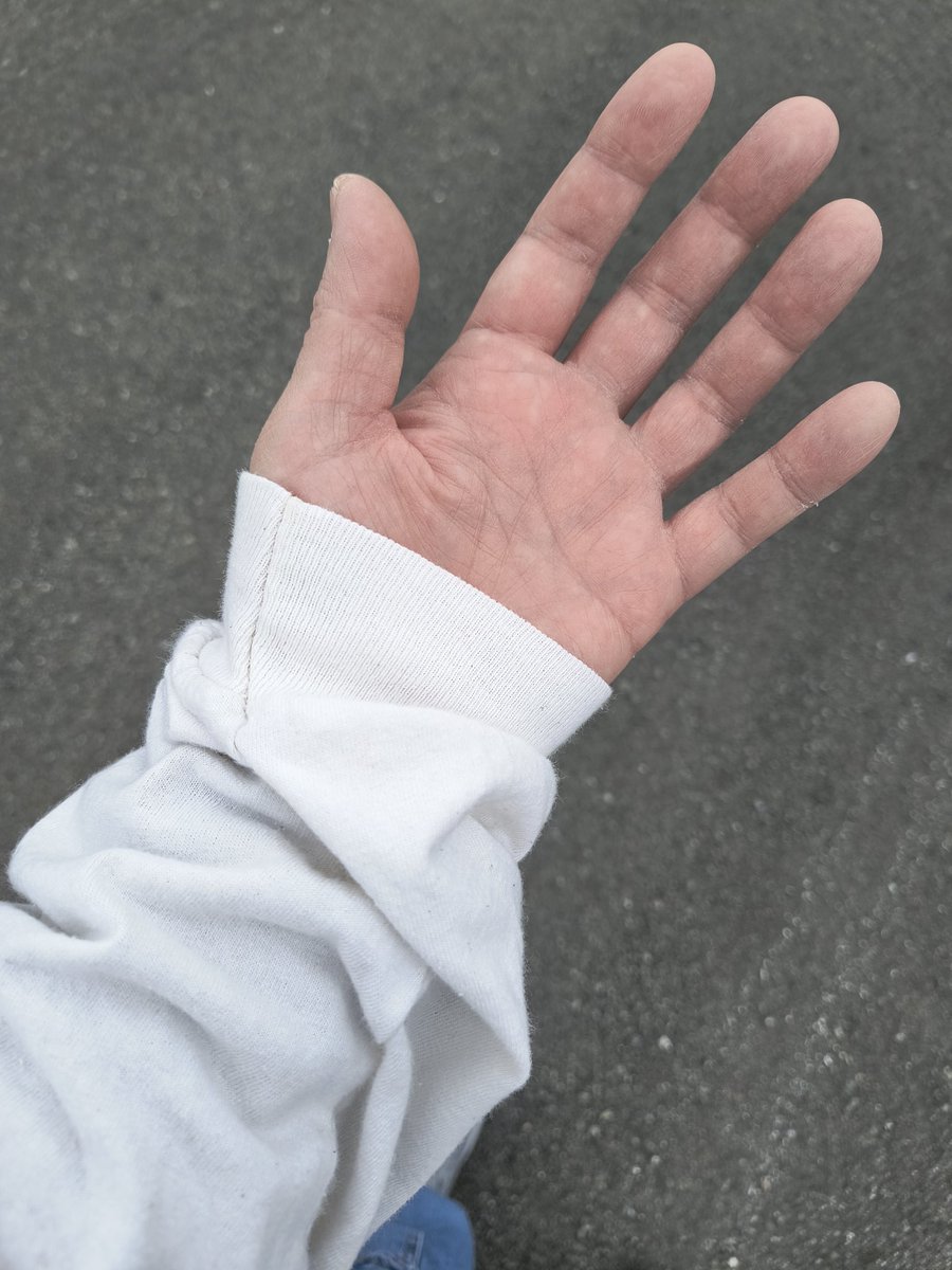 雪(ゆき) tweet media