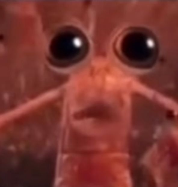 🩸Lorax X 🎭 🎨COMMS OPEN (0/5) 土 tweet media