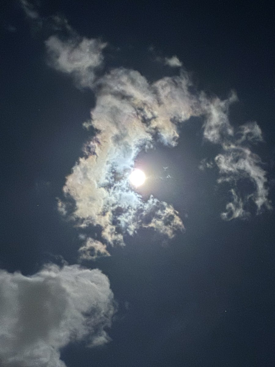 YUMEKAです。ココナラ始めました tweet media