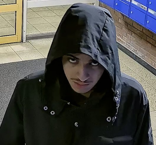 Mariana_news✡🇮🇱מריאנה tweet media