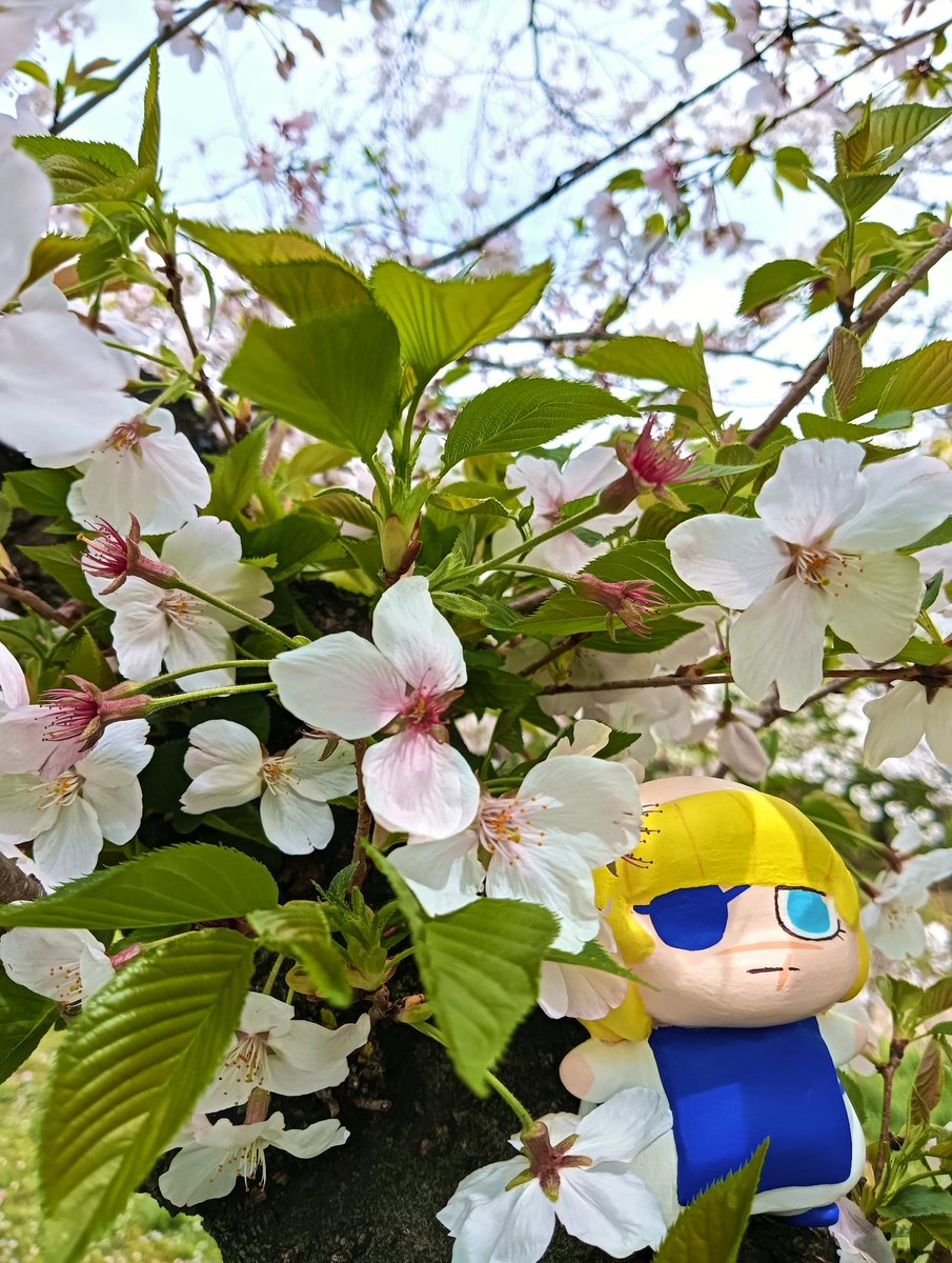 まりも🌏️3/29インテ2号館せ78b tweet media