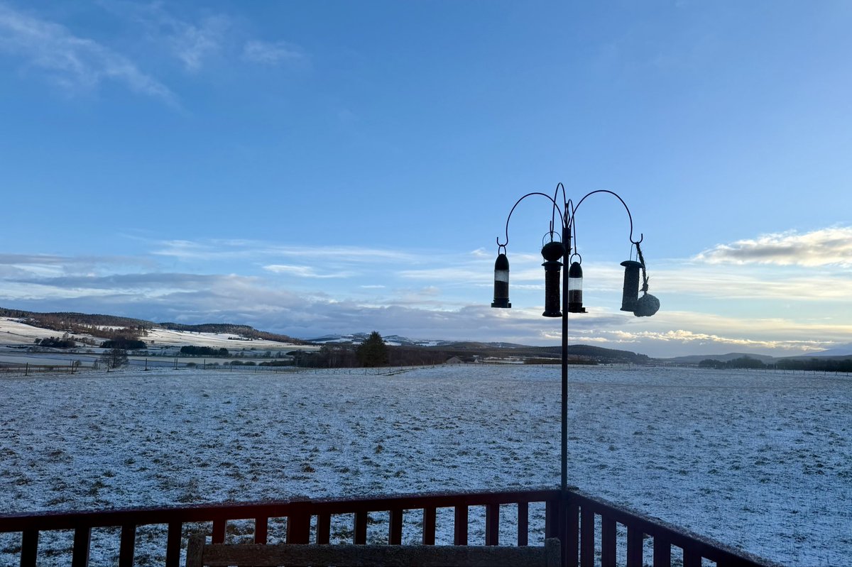 Debby Thorne tweet media