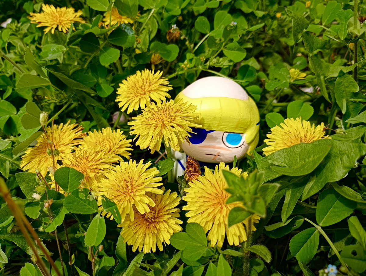 まりも🌏️3/29インテ2号館せ78b tweet media