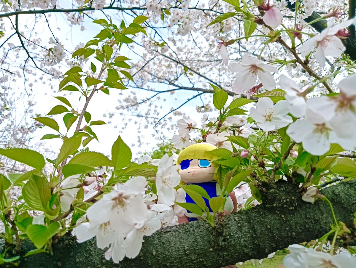 まりも🌏️3/29インテ2号館せ78b tweet media