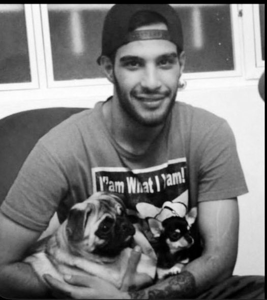 Farzad Seifikaran tweet media