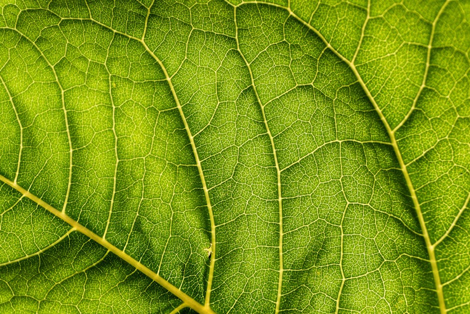 Morris Delashmutt tweet media