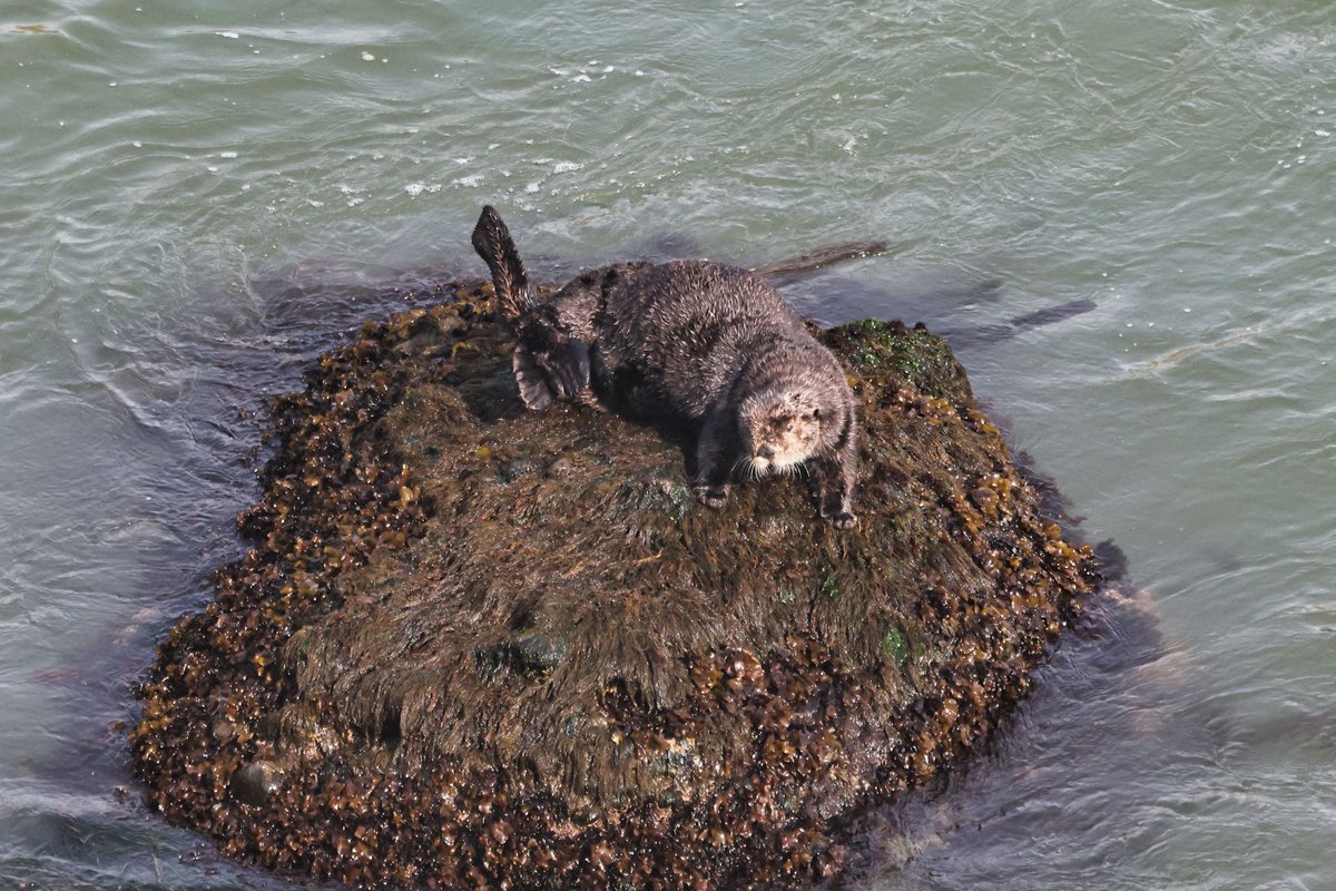 温根湯温泉の人♨️ tweet media