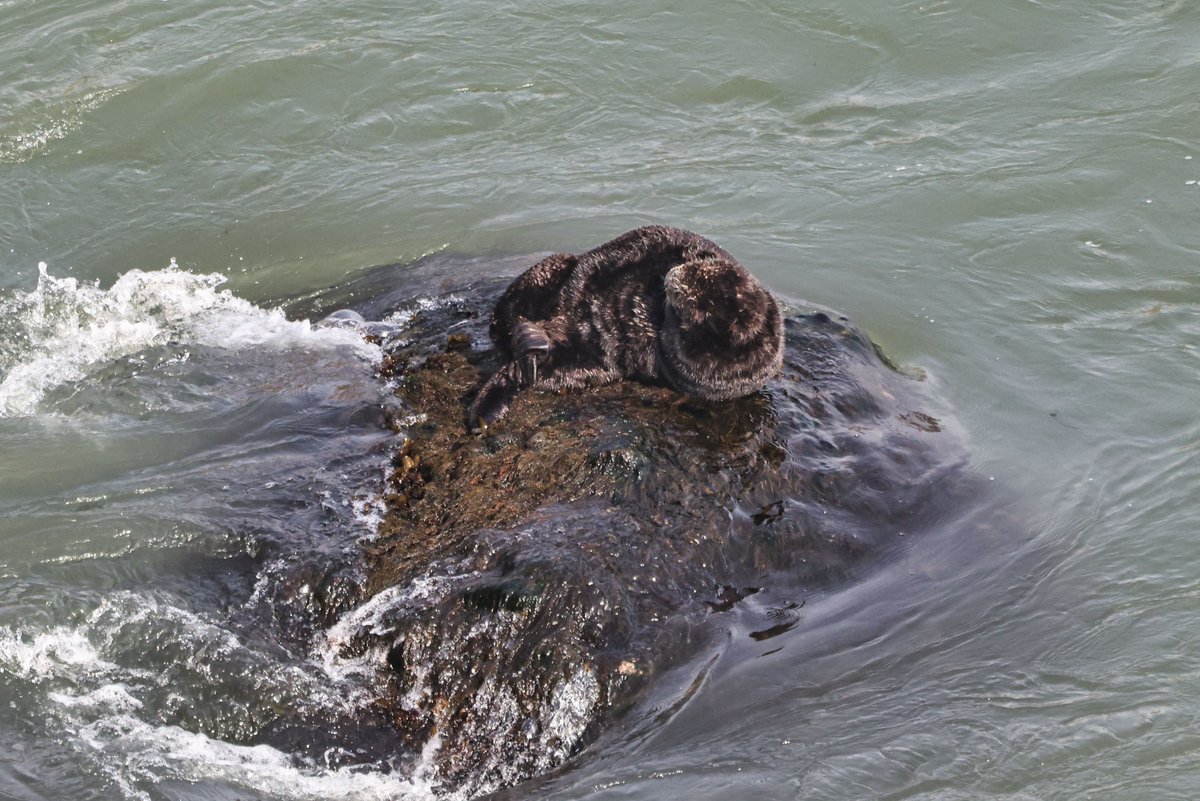 温根湯温泉の人♨️ tweet media