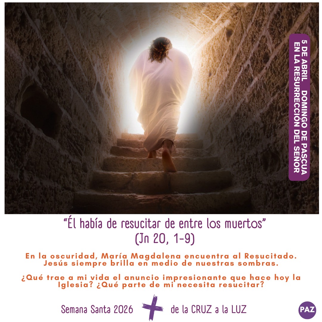 Txomin Pérez Rodríguez tweet media