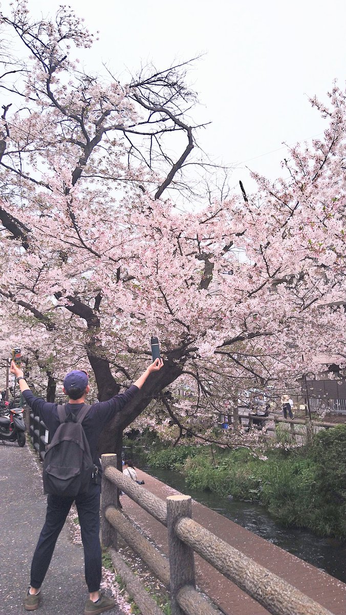 ムラたん tweet media