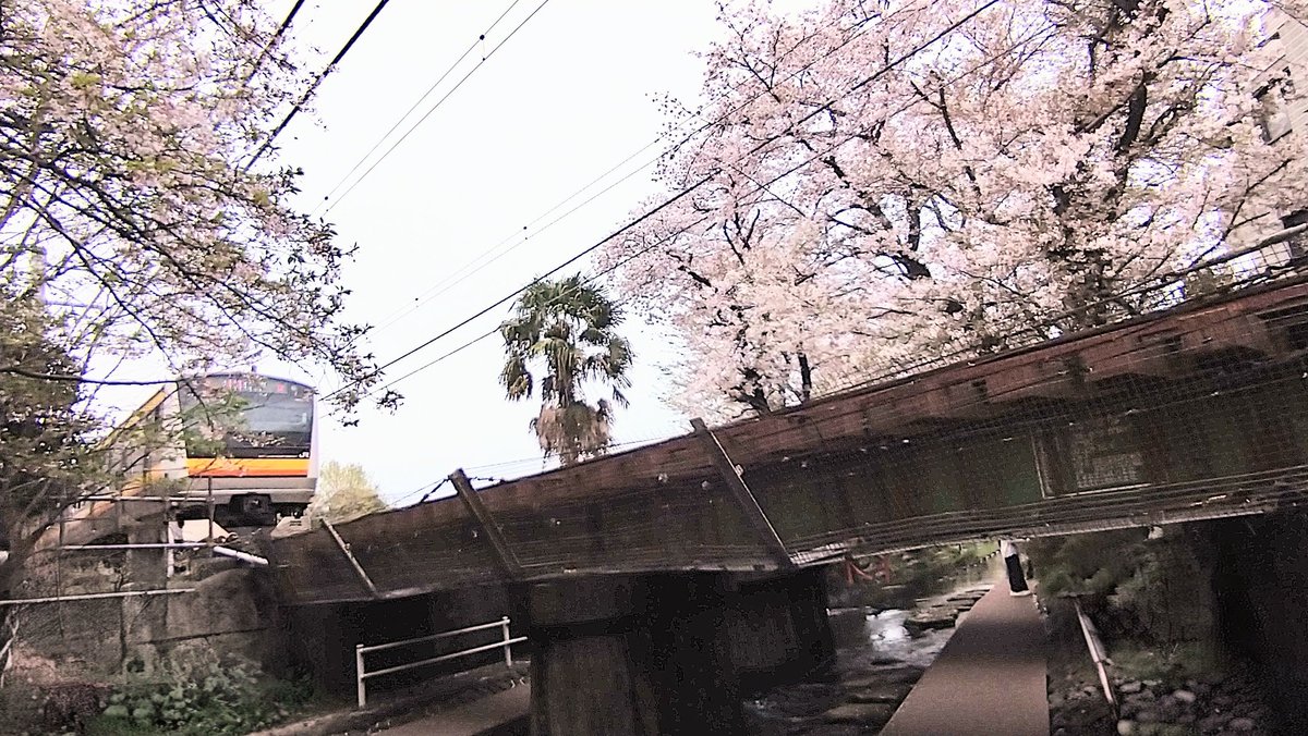 ムラたん tweet media