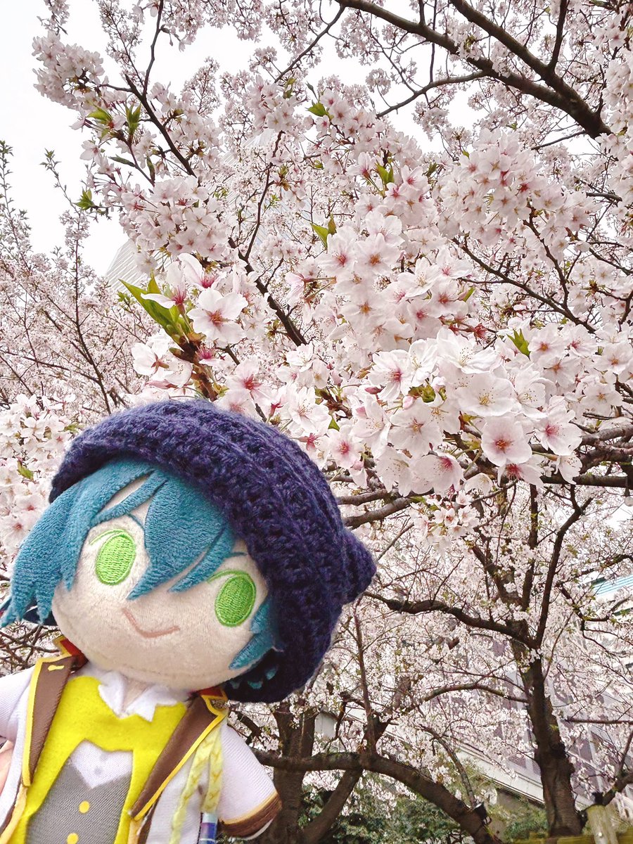 松李 tweet media