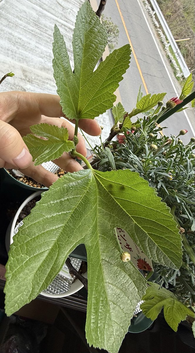 Aguasdemarco tweet media