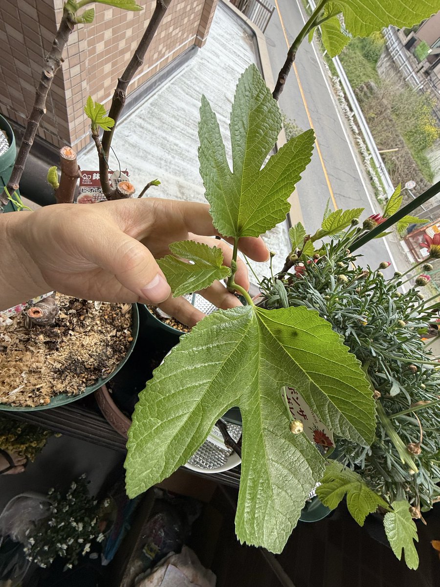 Aguasdemarco tweet media