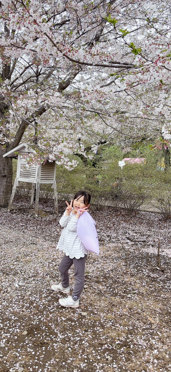 さーこ tweet media