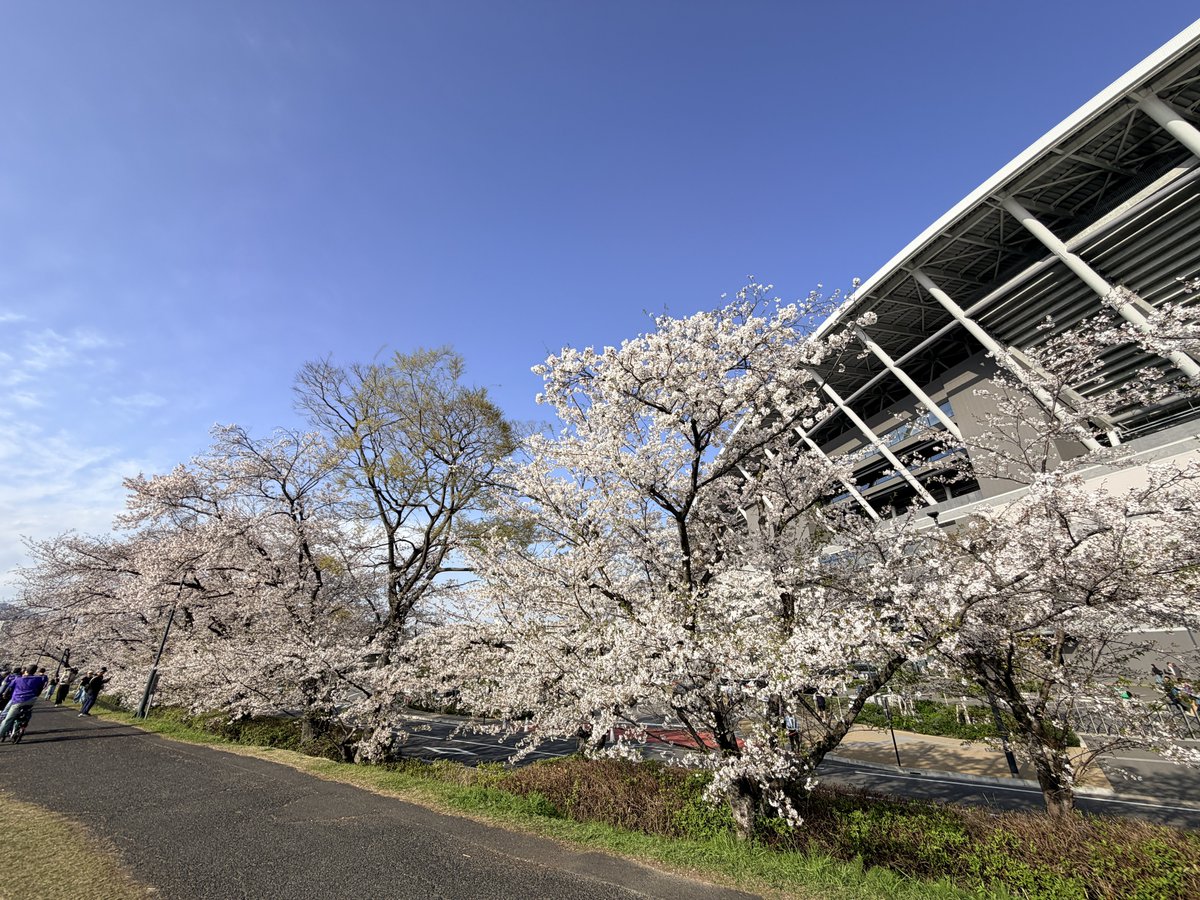 minorururu tweet media