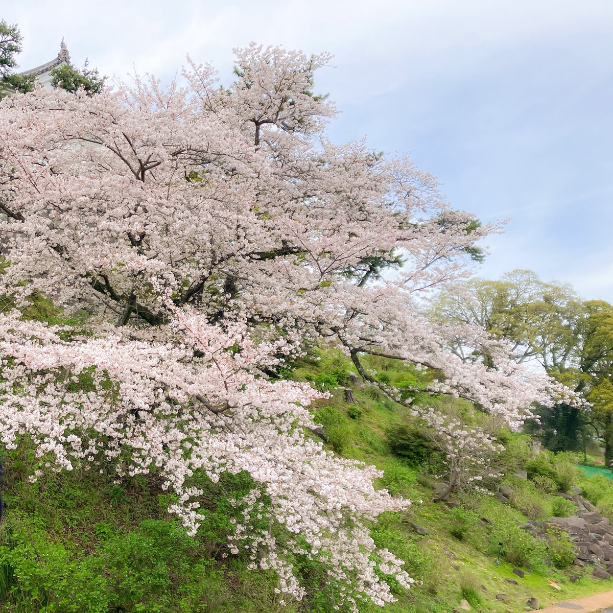 るもちゃん🌈とヒロ tweet media