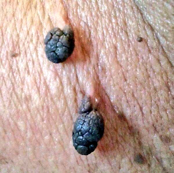 Learn Doctor tweet media