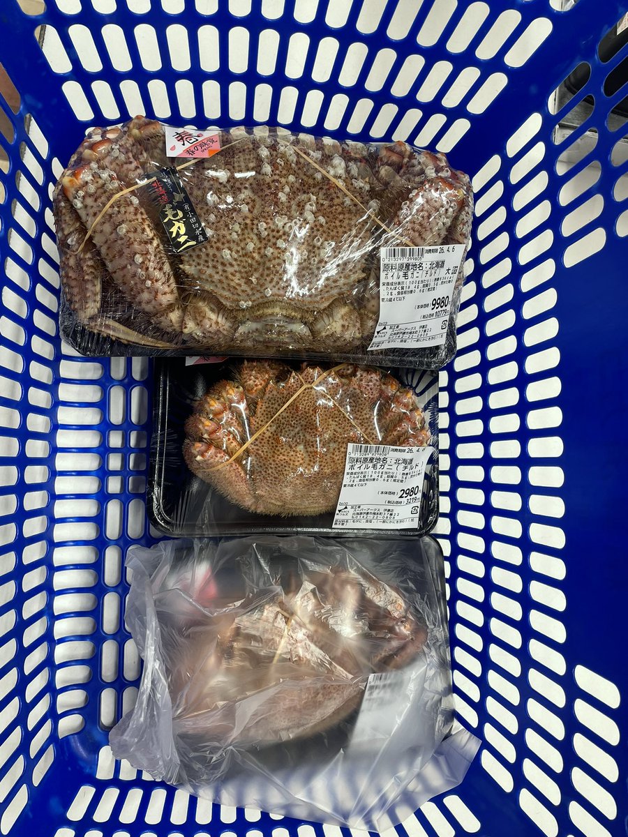 しゅ〜 tweet media