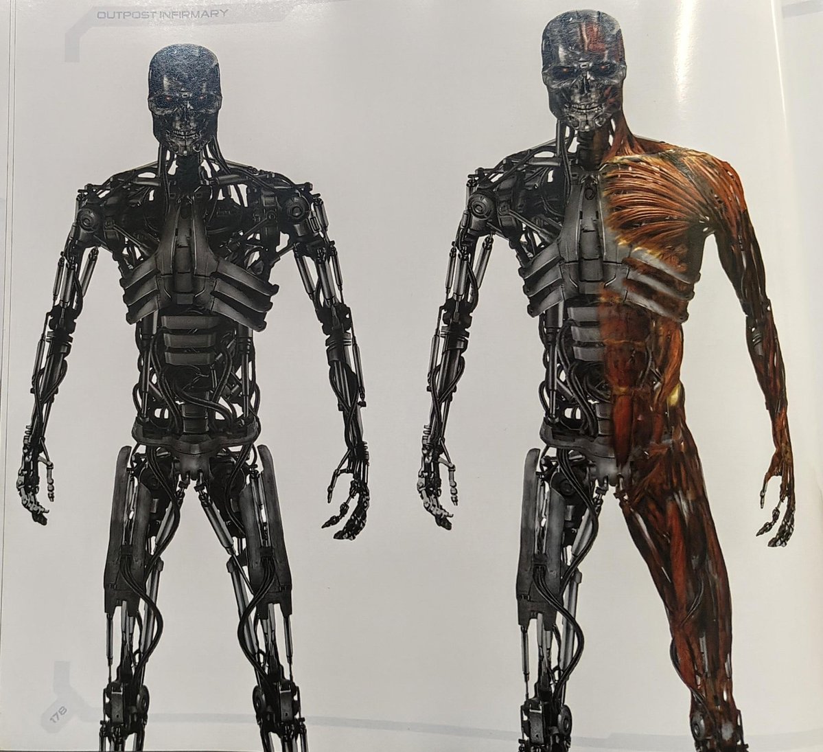 ˗ˏˋ 𝐂𝐎𝐋𝐄. tweet media