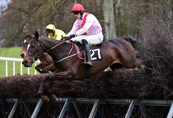 QrIrish's tweet image. Winners from  Loughanmore P2P #QR 📸 healyracing.ie
