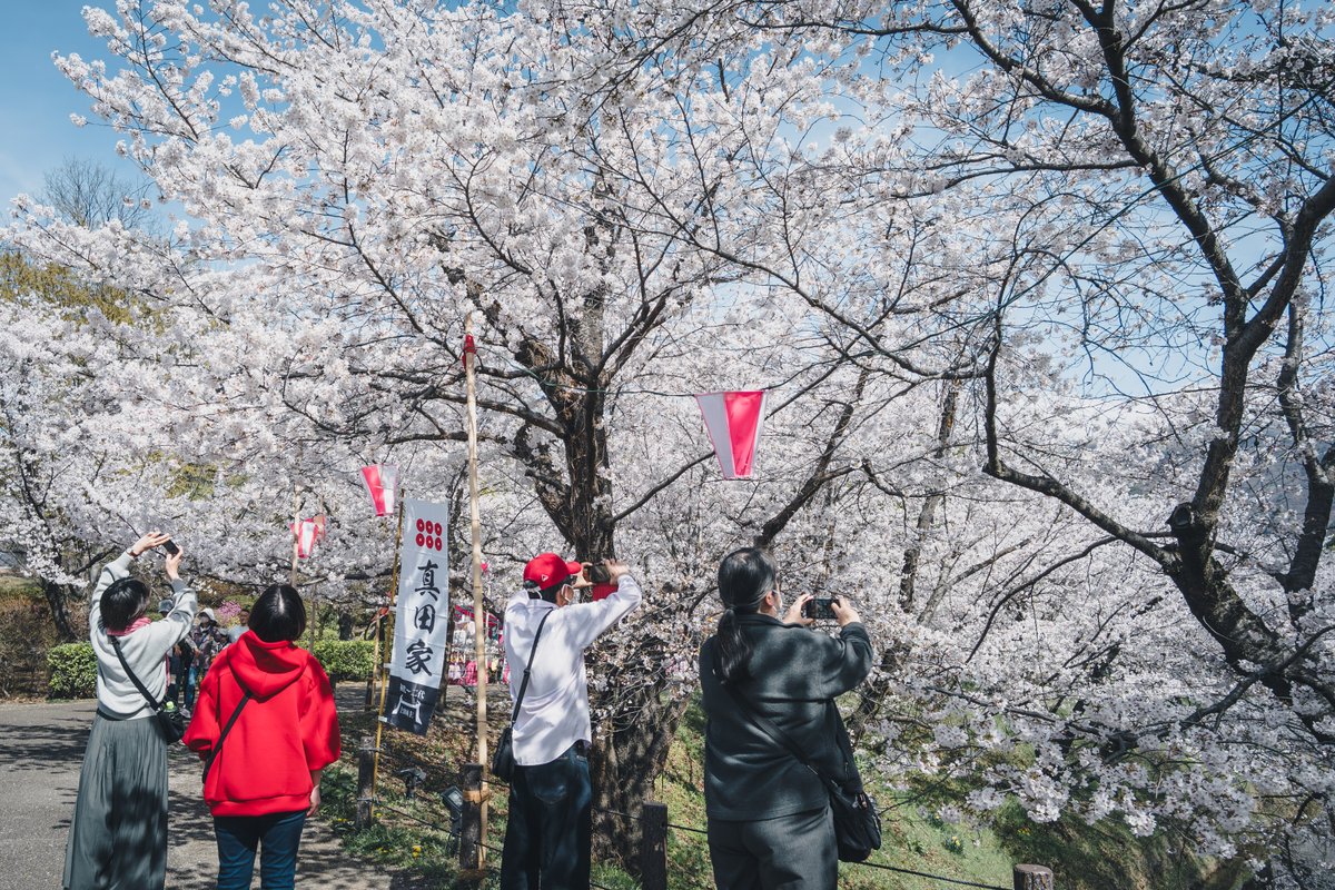 ハラヒロシ / デザインスタジオ・エル tweet media