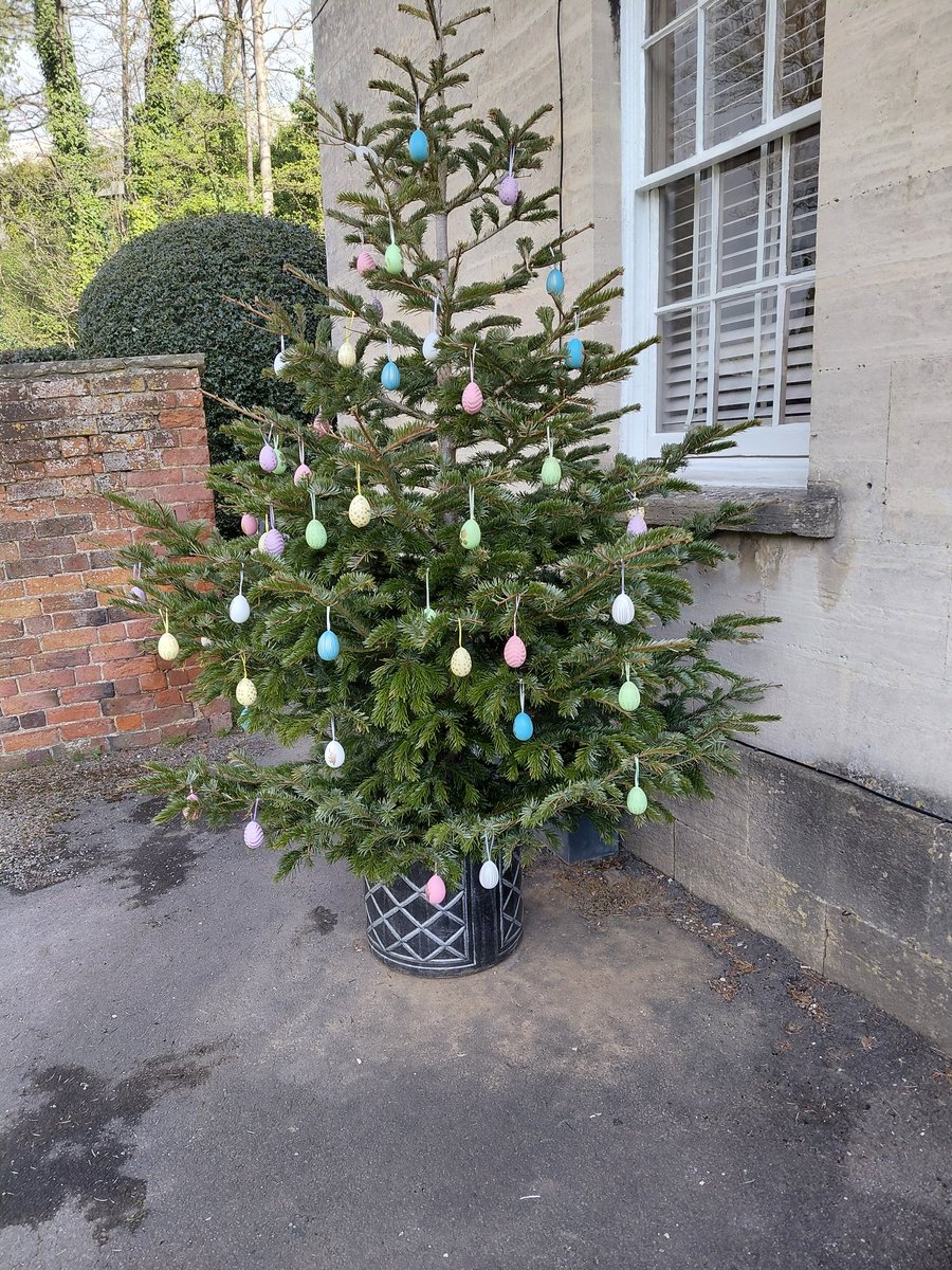 Pam Keevil tweet media