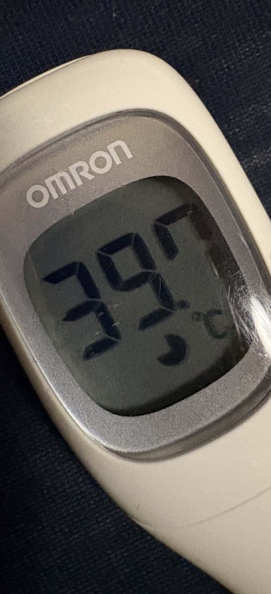 こぐま tweet media