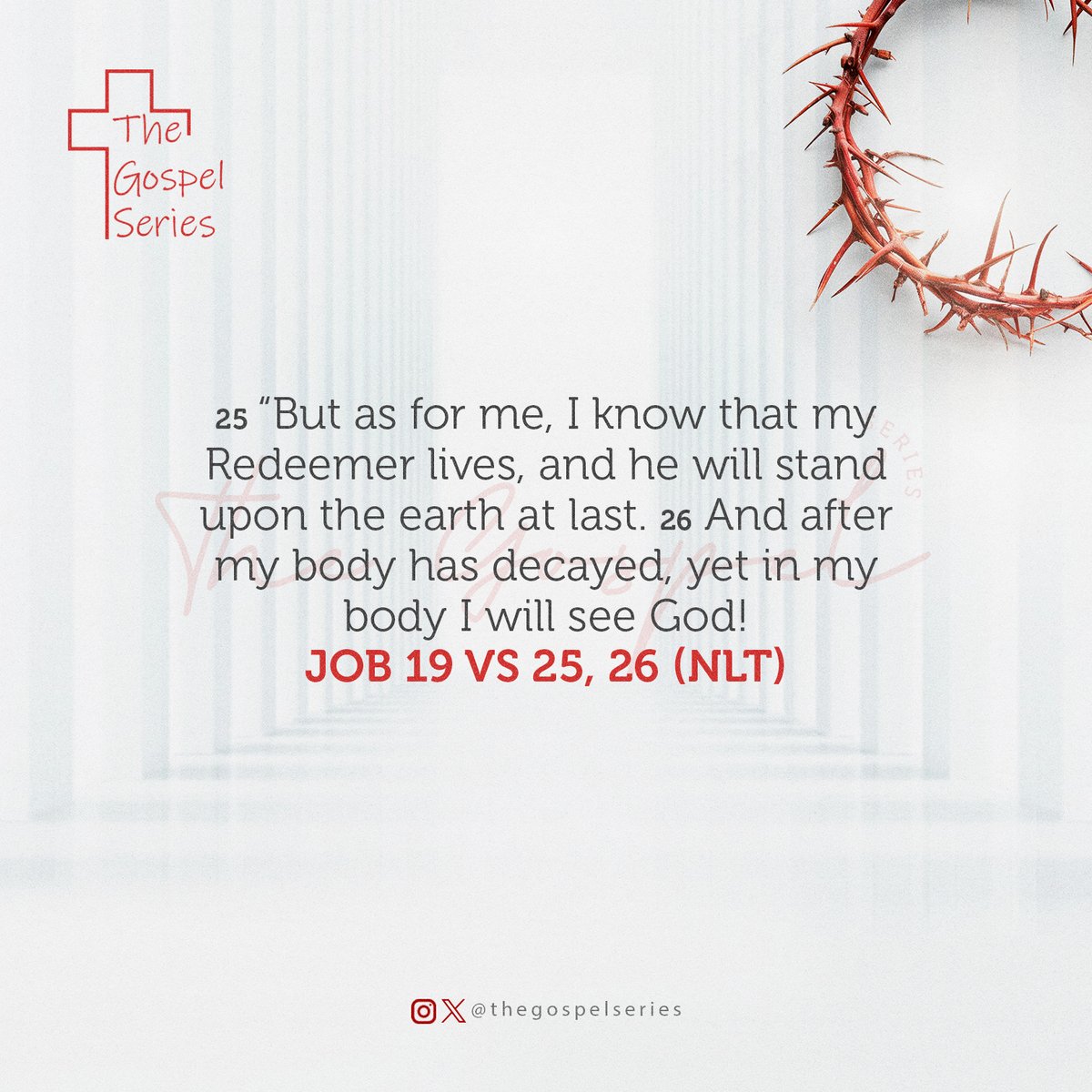 The Gospel Series tweet media