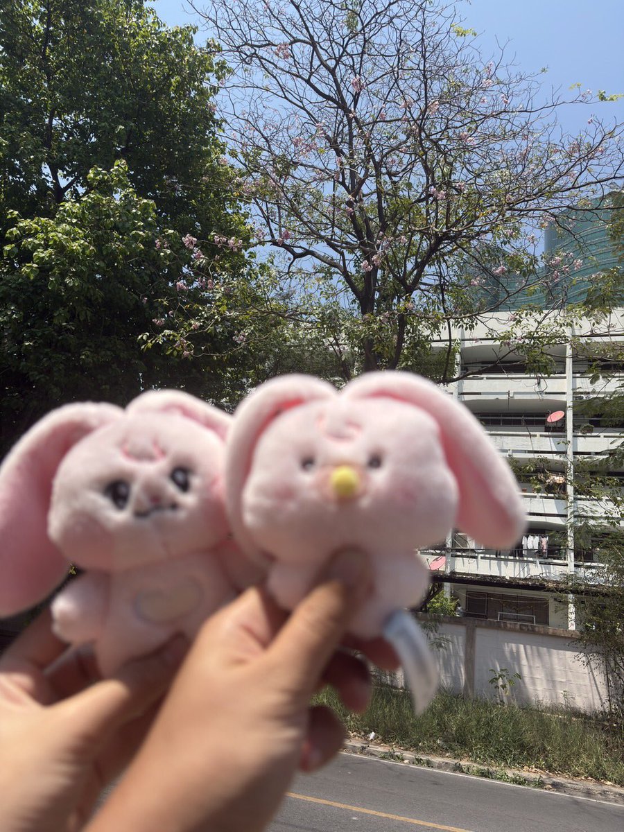 𝙊𝙣𝙮𝙤𝙪𝙧𝙢__𝙞𝙣𝙙 (vhdpqj clfemfla) tweet media