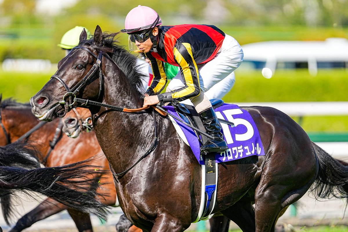 基14％（もといし） C107新刊 メロンブックス委託 tweet media