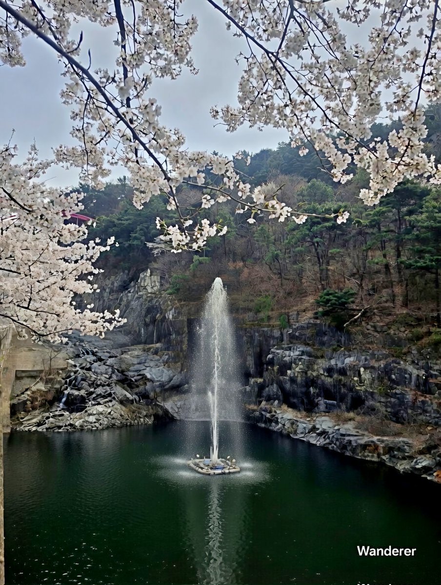 Wanderer tweet media