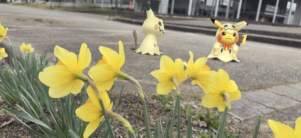 🍀 Noriko🍀 AR練習中〜 tweet media