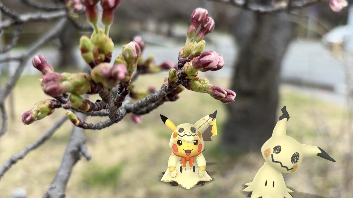 🍀 Noriko🍀 AR練習中〜 tweet media