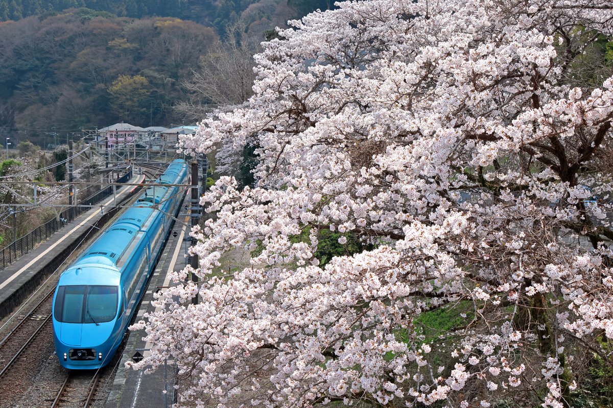 朝霧高原 tweet media