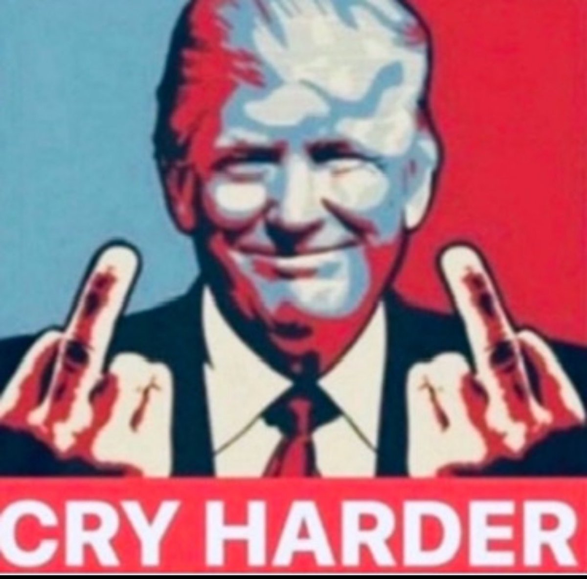 CCNK🇺🇸 tweet media