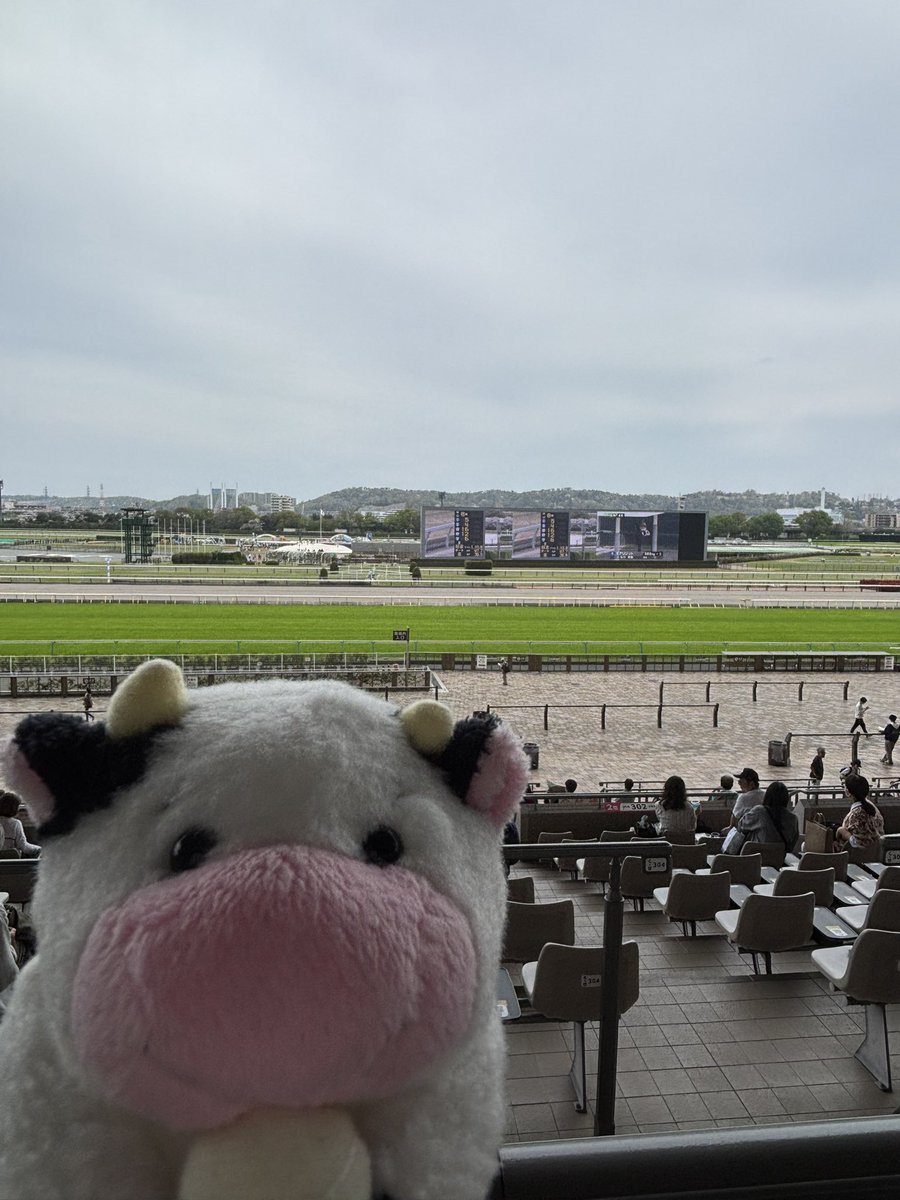 VINUSHKA0109's tweet photo. モカソフトはどこですか https://t.co/SEd6FpoNNz