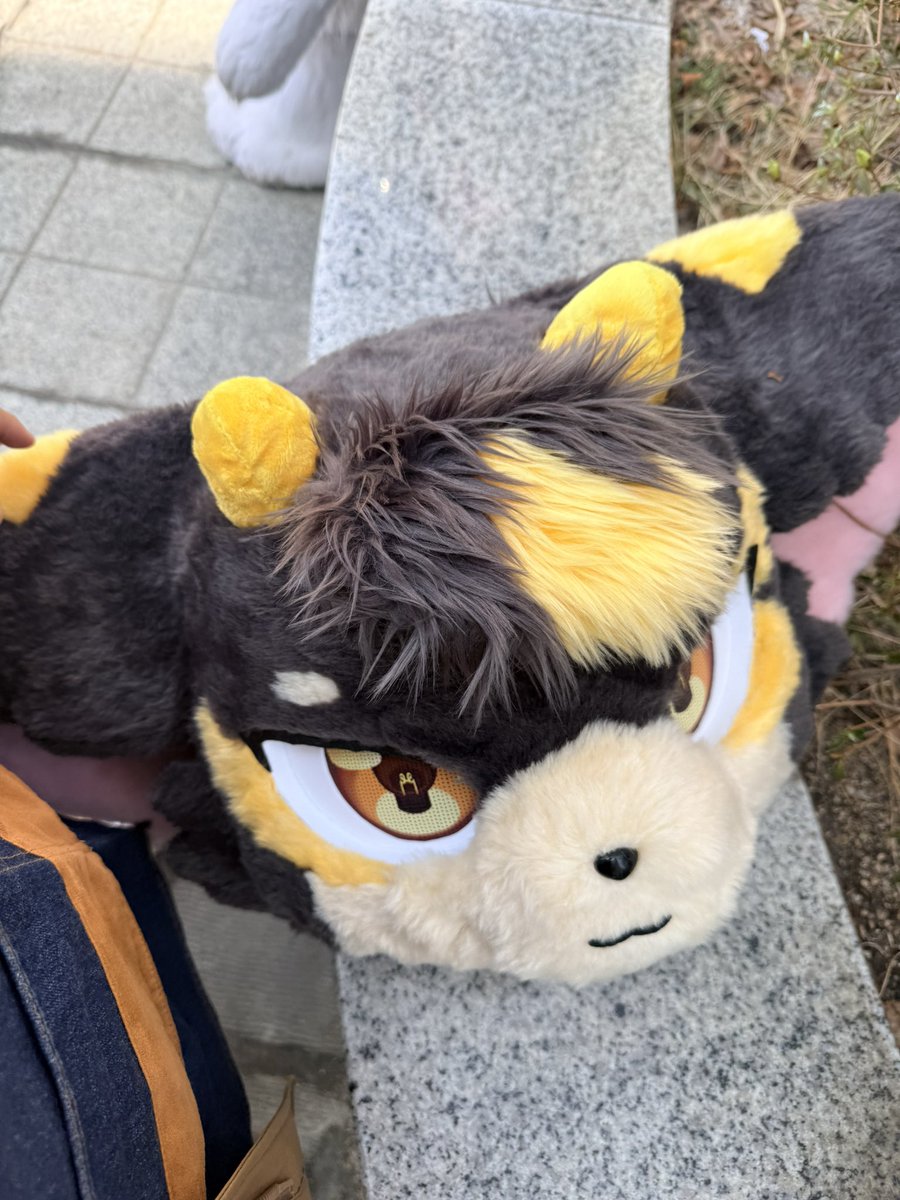 팟칭/Patching tweet media