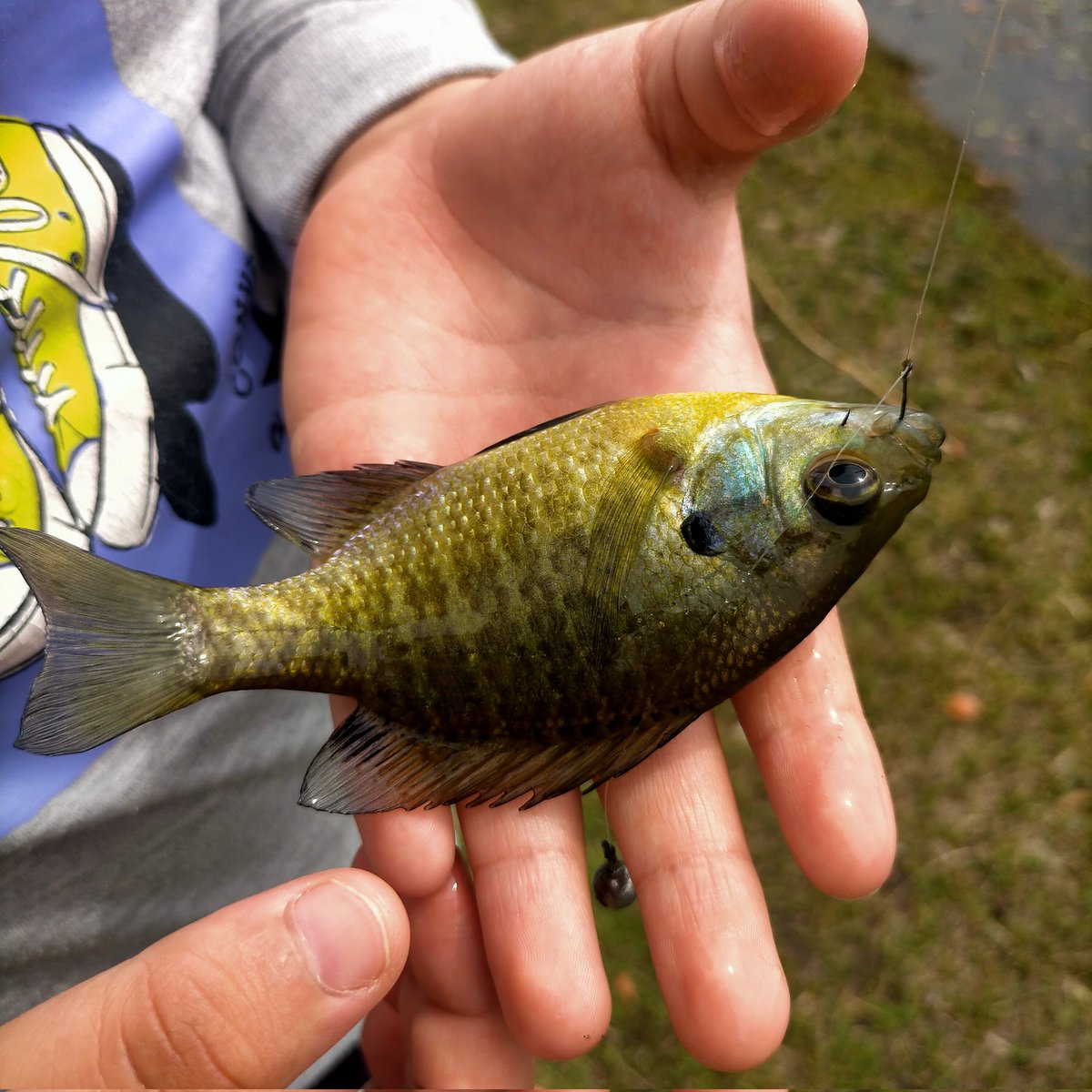 えいきち@副業釣具せどり tweet media