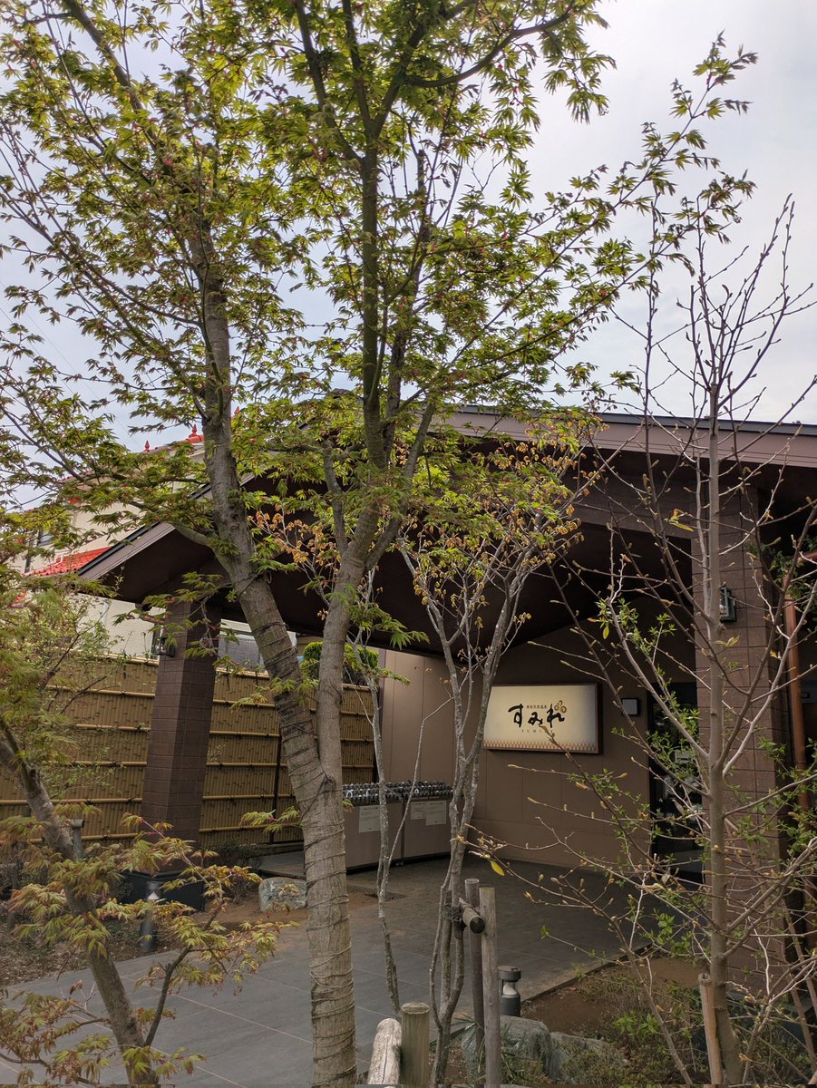 ししとう🌶️🥵 tweet media