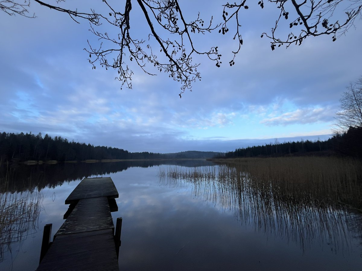 古道恩光 tweet media