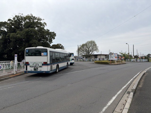 市川市動植物園（公式） tweet media