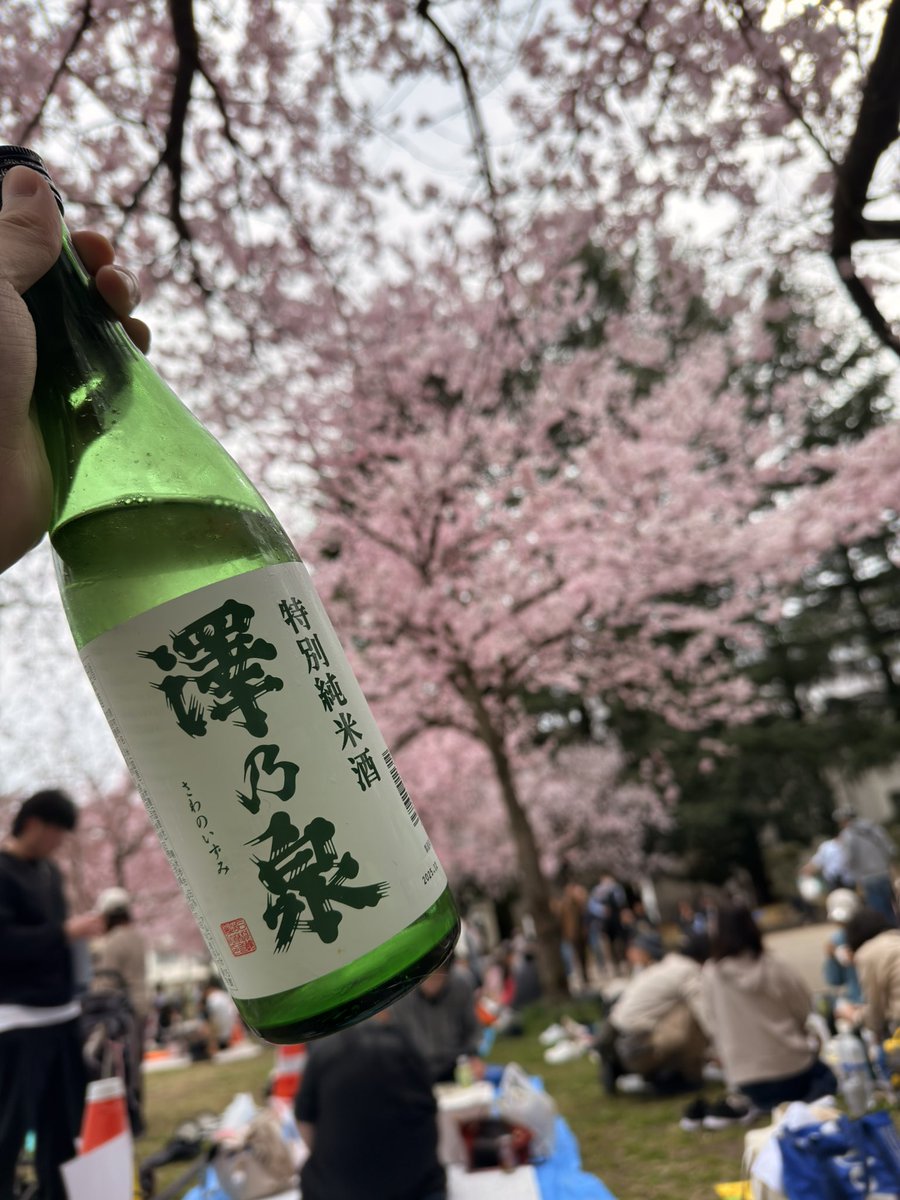 がっぴさん tweet media