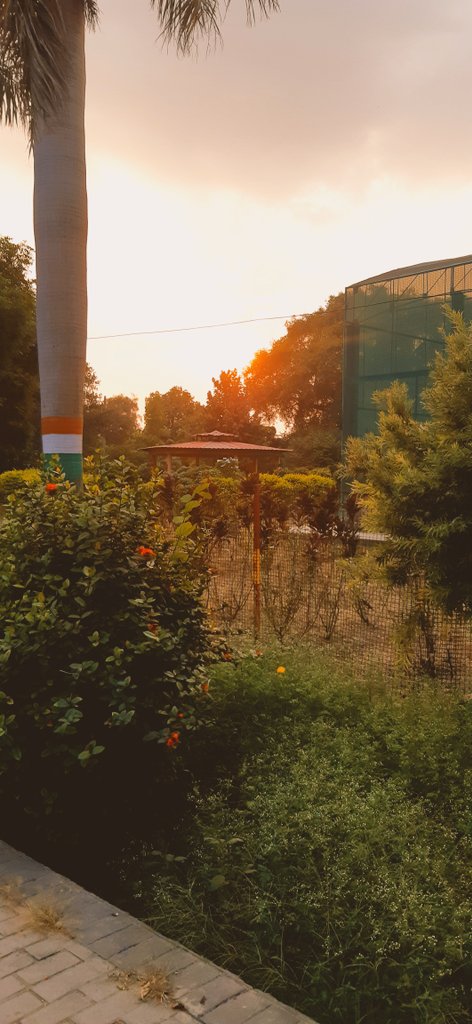 Dark Chain Queen.IP tweet media